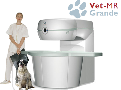 VetGrande1